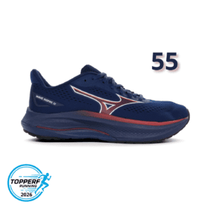 MIZUNO Wave Inspire 22